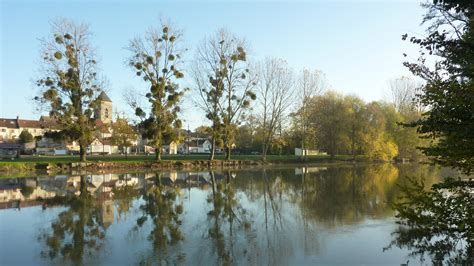 qualité environnement marne